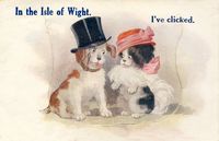 Picture of Novelty Card 1920